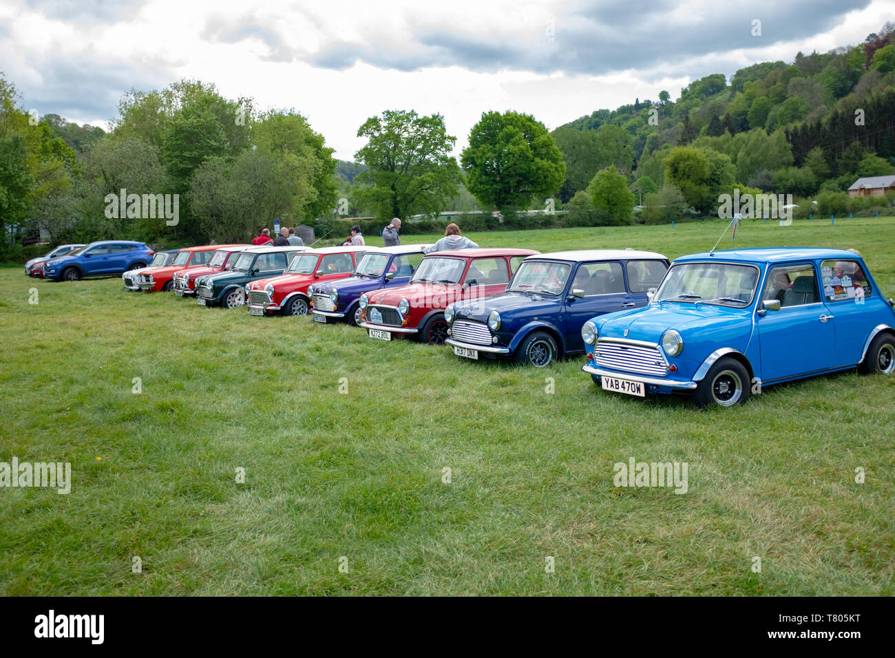 Una fila di British Motor Corporation (BMC) le automobili mini stand in un verde campo erboso in Inghilterra. La vettura è stata una icona della cultura britannica 1960s. Foto Stock