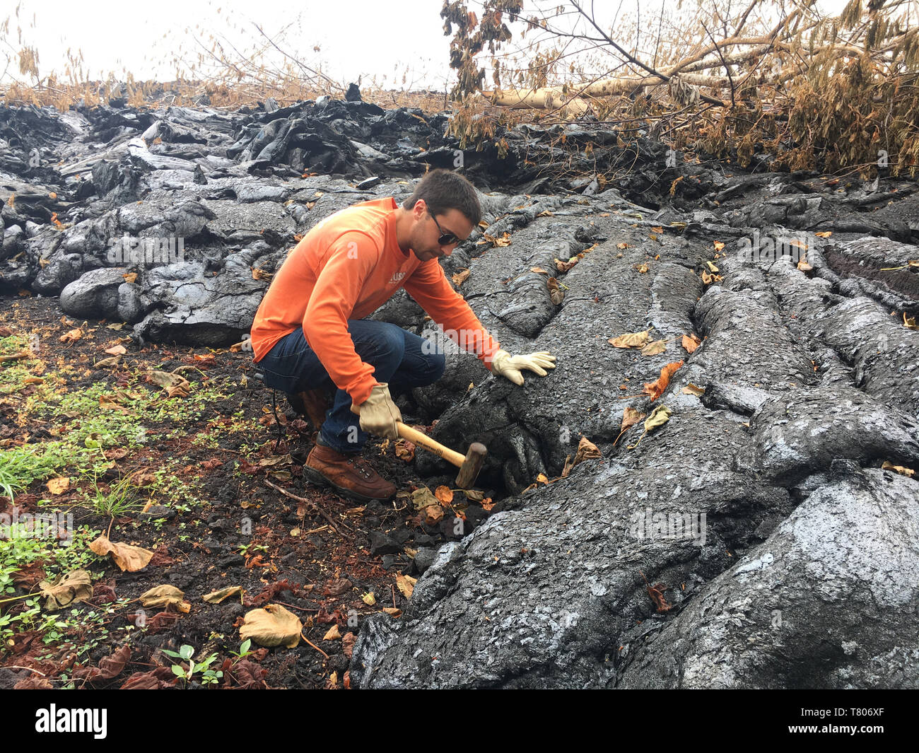 Geologo, Kilauea 2018 Foto Stock