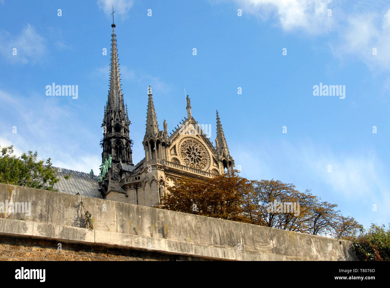Sud rosone e la guglia, cattedrale di Notre Dame di Parigi, Francia, visto dal fiume Foto Stock