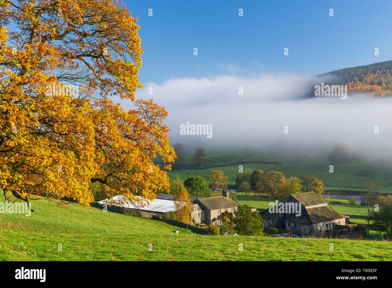 La nebbia attorno Simons sedile e lungo il fiume Wharfe in Wharfedale, Yorkshire Dales, nello Yorkshire, Inghilterra, Regno Unito, Europa Foto Stock