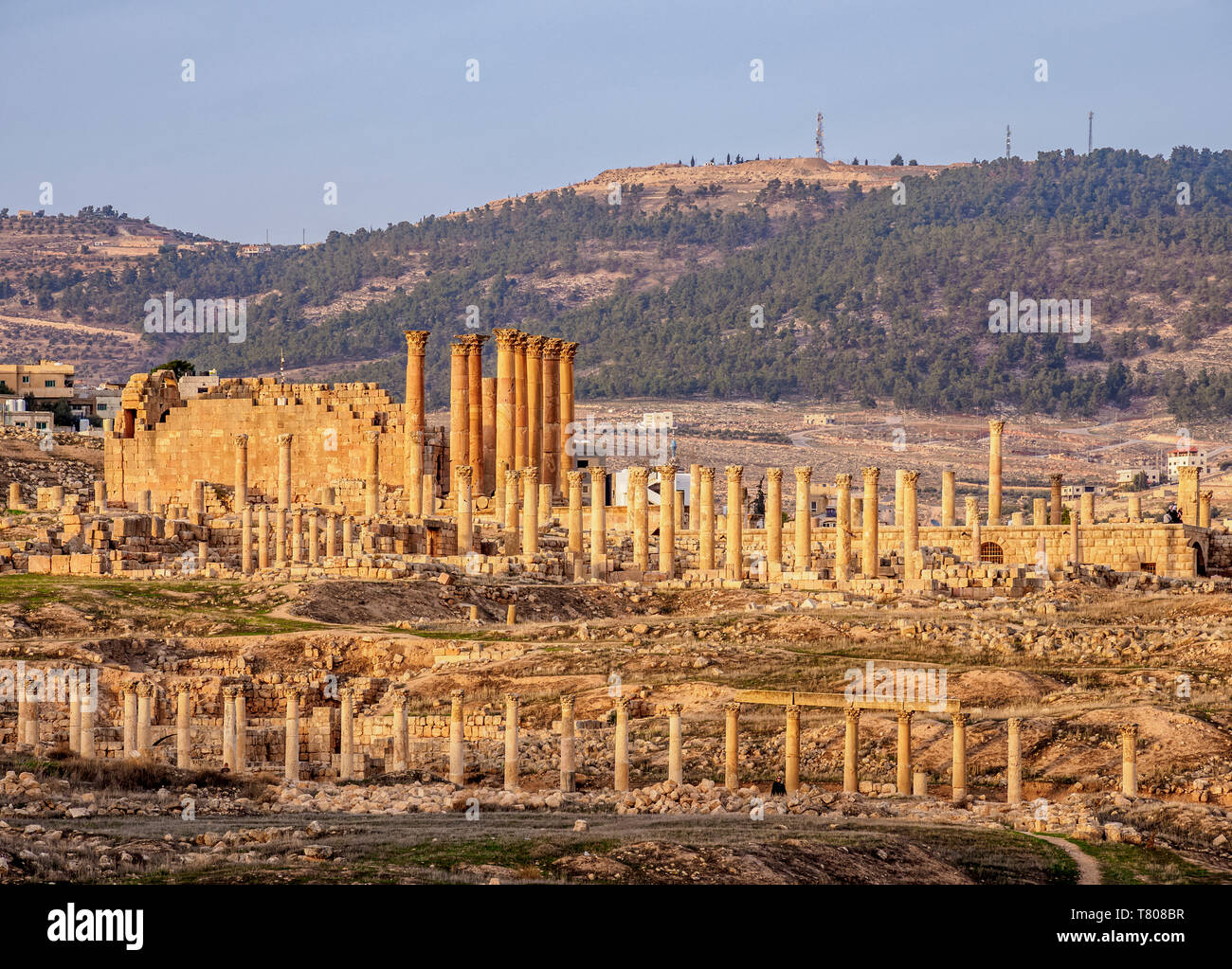 Vista verso il tempio di Artemide, tramonto, Jerash Jerash, Governatorato, Giordania, Medio Oriente Foto Stock