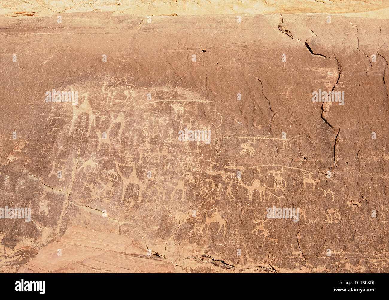 Incisioni rupestri a Wadi Rum, Governatorato di Aqaba, Giordania, Medio Oriente Foto Stock