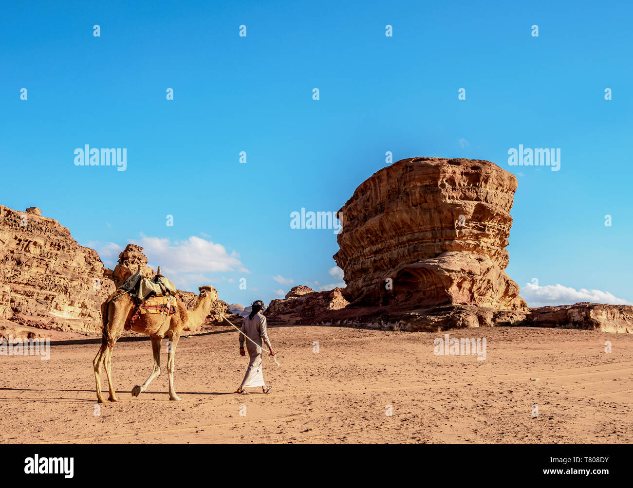 Bedouin camminando con il suo cammello, Wadi Rum, Governatorato di Aqaba, Giordania, Medio Oriente Foto Stock