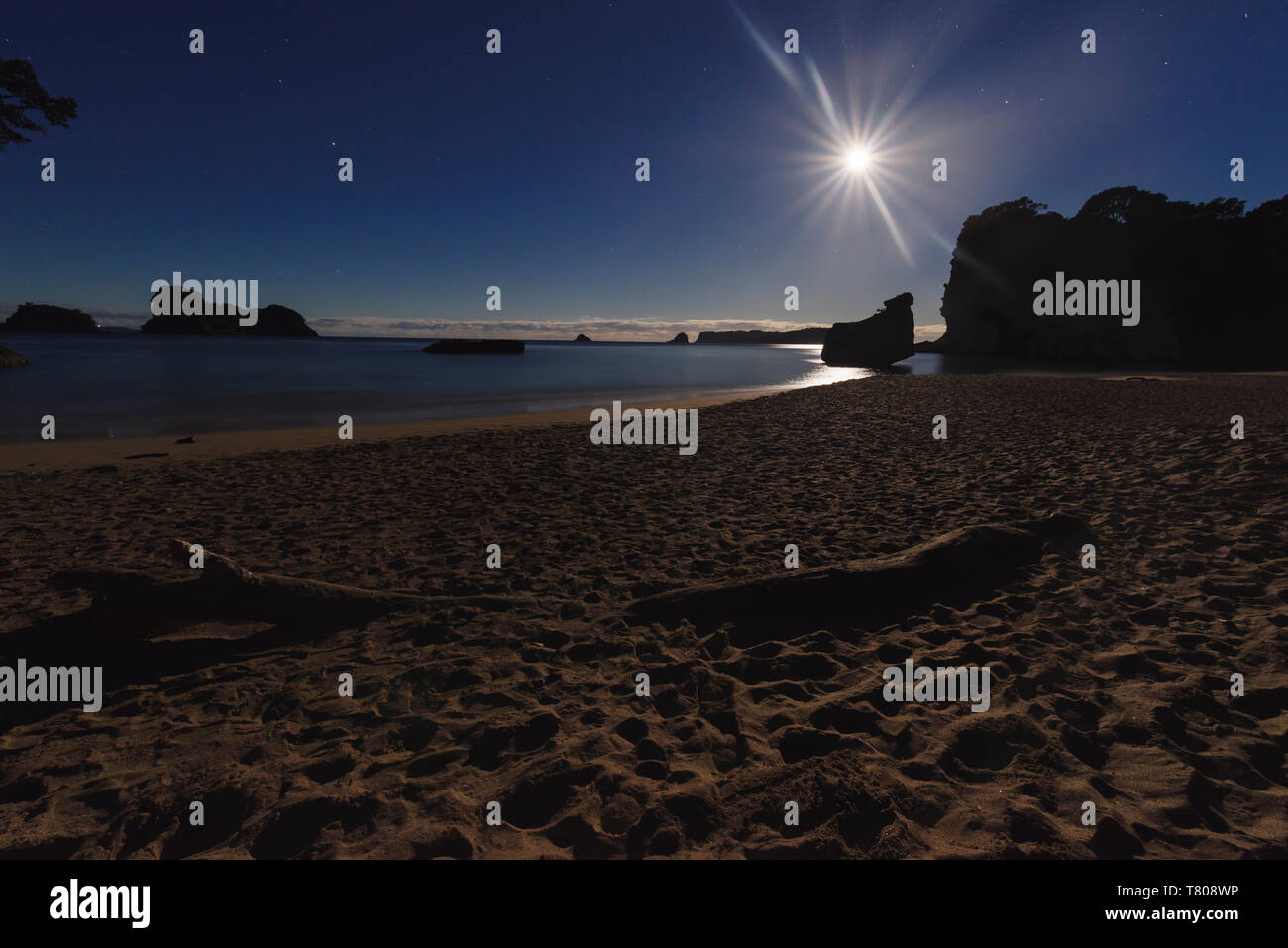 Al chiaro di luna sulla spiaggia, il Cove della cattedrale, Te Whanganui-A-Hei riserva marina, Penisola di Coromandel, Isola del nord, Nuova Zelanda, Pacific Foto Stock