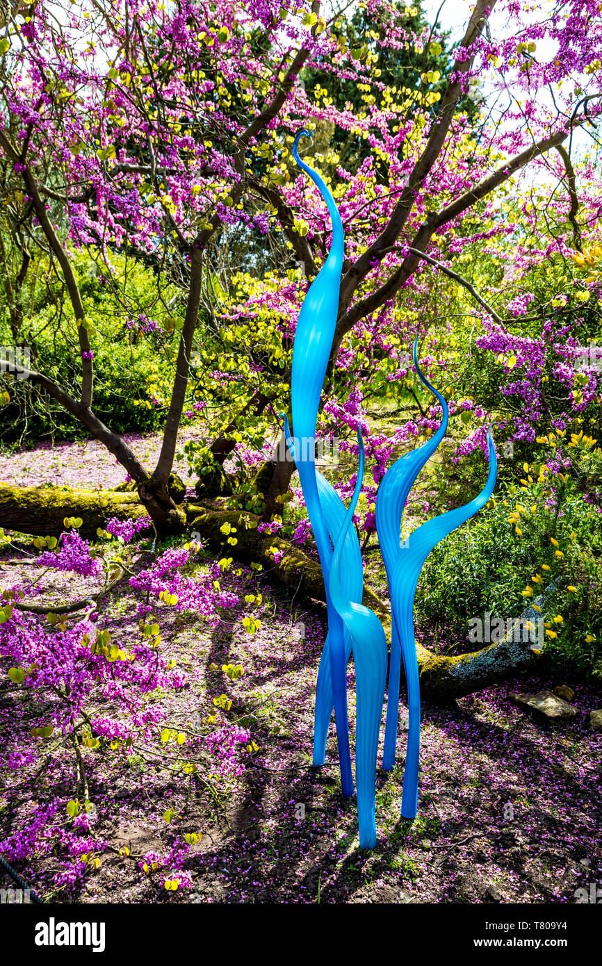 4 Maggio 2019 - Parte di 'lamelle di neodimio ed il turchese Marlins' di Dale Chihuly sculture di vetro come parte della mostra temporanea a Kew Gardens, Londra Foto Stock