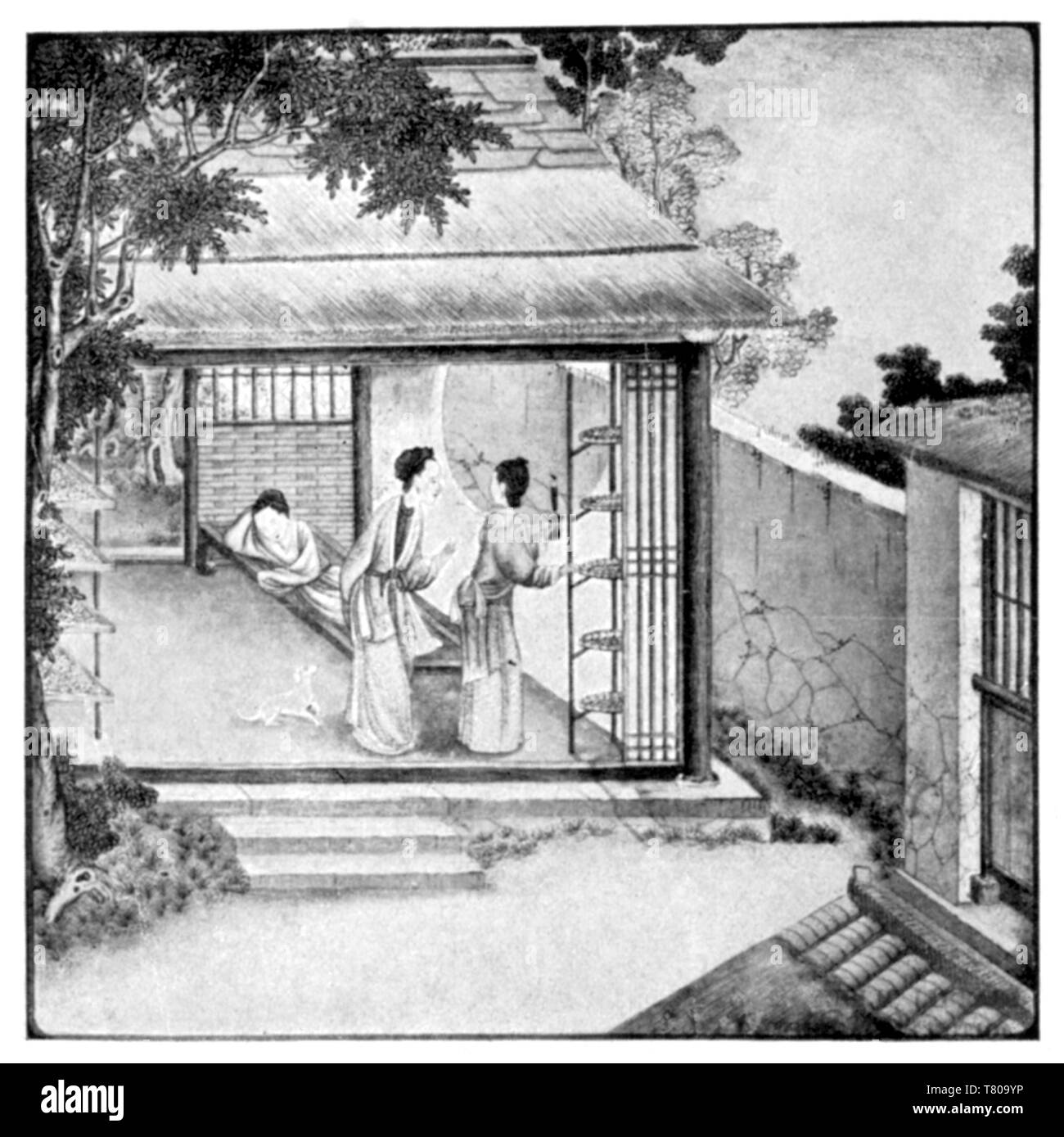 Mangime Per Pesci Laghetto - Snack Con Bachi Da Seta, 300g Per Alimentazione Manuale - Foto 12