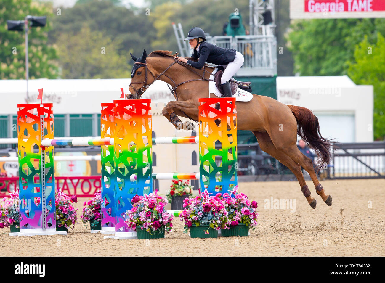 Windsor, Berkshire, Regno Unito. 09 Maggio, 2019. Vincitore. La Georgia Tame equitazione Z sette Canya danza. GBR.H&C TV senior 1,35 m aperta. Showjumping. Royal Windsor Horse Show. Windsor. Berkshire. Regno Unito. GBR. 09/05/2019. Credito: Sport In immagini/Alamy Live News Foto Stock