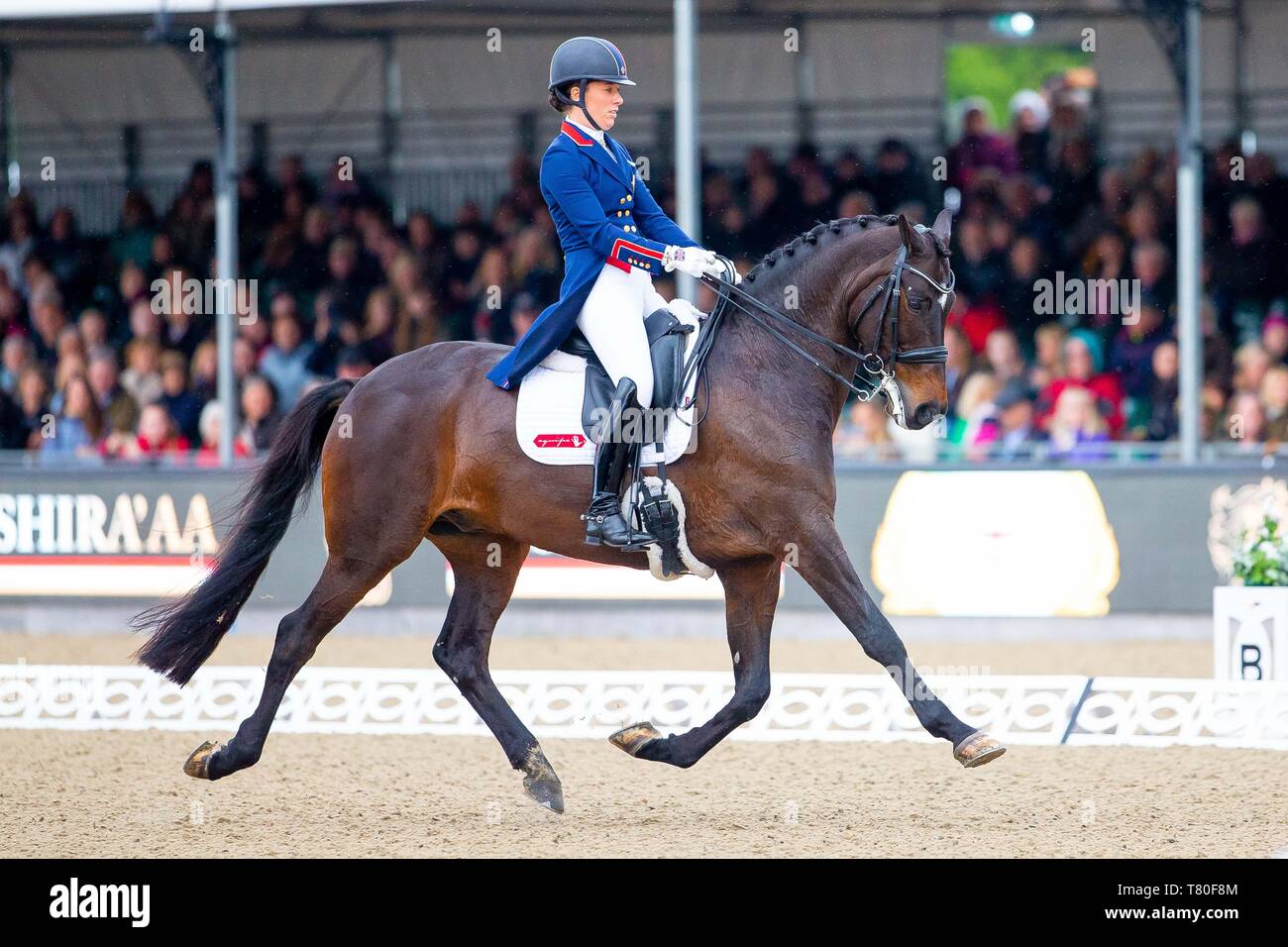 Windsor, Berkshire, Regno Unito. 09 Maggio, 2019. Vincitore. Charlotte Dujardin in sella Erlentanz. GBR. L'Al Shira"aa Grand Prix. CDI4*. Dressage. Royal Windsor Horse Show. Windsor. Berkshire. Regno Unito. GBR. 09/05/2019. Credito: Sport In immagini/Alamy Live News Foto Stock