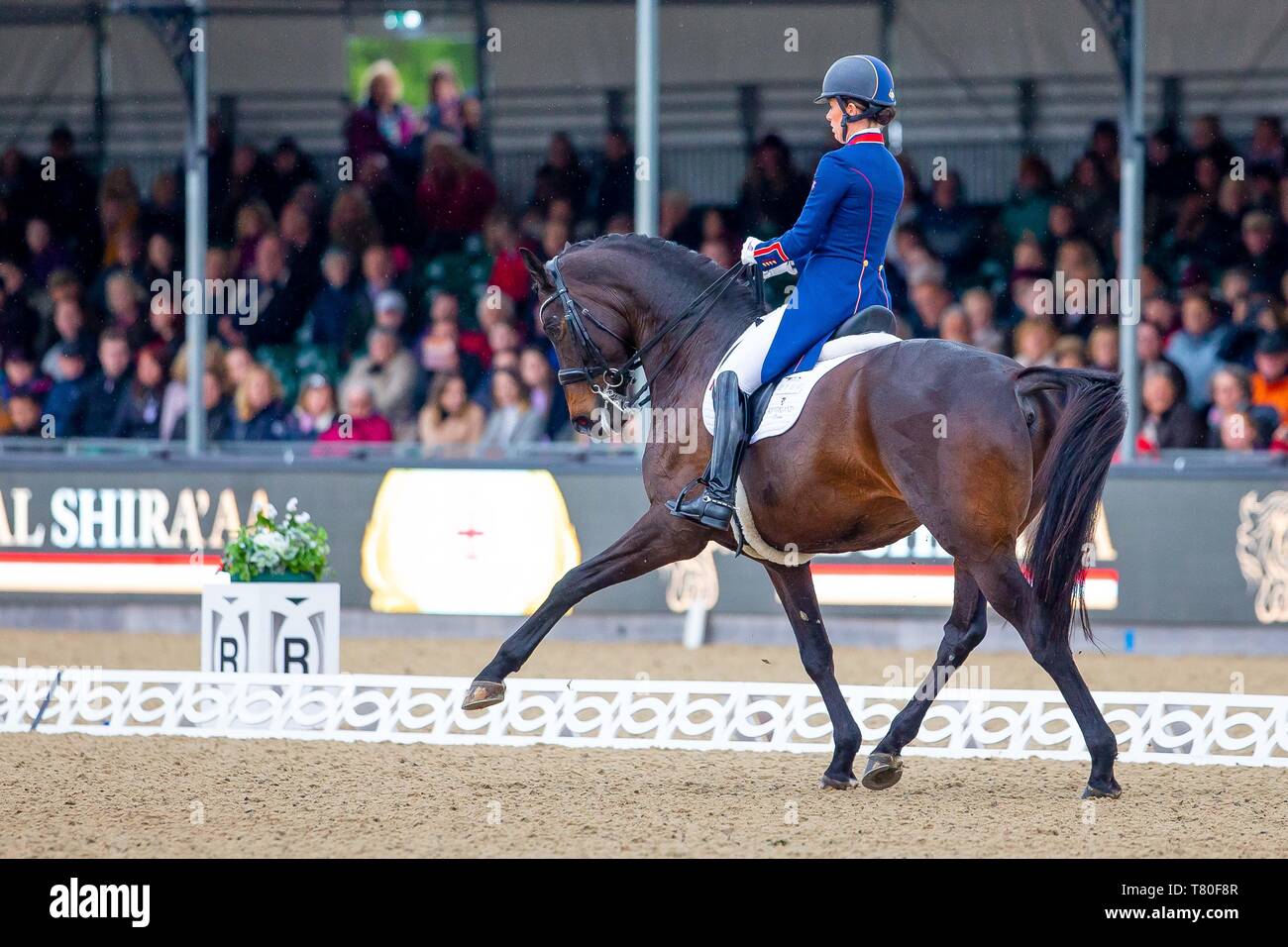 Windsor, Berkshire, Regno Unito. 09 Maggio, 2019. Vincitore. Charlotte Dujardin in sella Erlentanz. GBR. L'Al Shira"aa Grand Prix. CDI4*. Dressage. Royal Windsor Horse Show. Windsor. Berkshire. Regno Unito. GBR. 09/05/2019. Credito: Sport In immagini/Alamy Live News Foto Stock