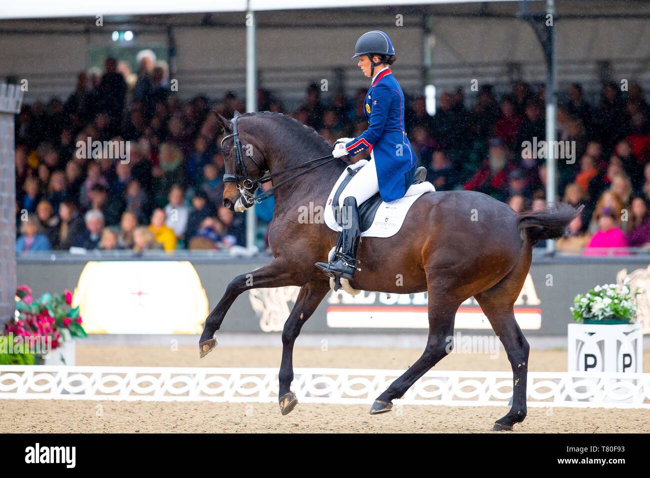 Windsor, Berkshire, Regno Unito. 09 Maggio, 2019. Vincitore. Charlotte Dujardin in sella Erlentanz. GBR. L'Al Shira"aa Grand Prix. CDI4*. Dressage. Royal Windsor Horse Show. Windsor. Berkshire. Regno Unito. GBR. 09/05/2019. Credito: Sport In immagini/Alamy Live News Foto Stock