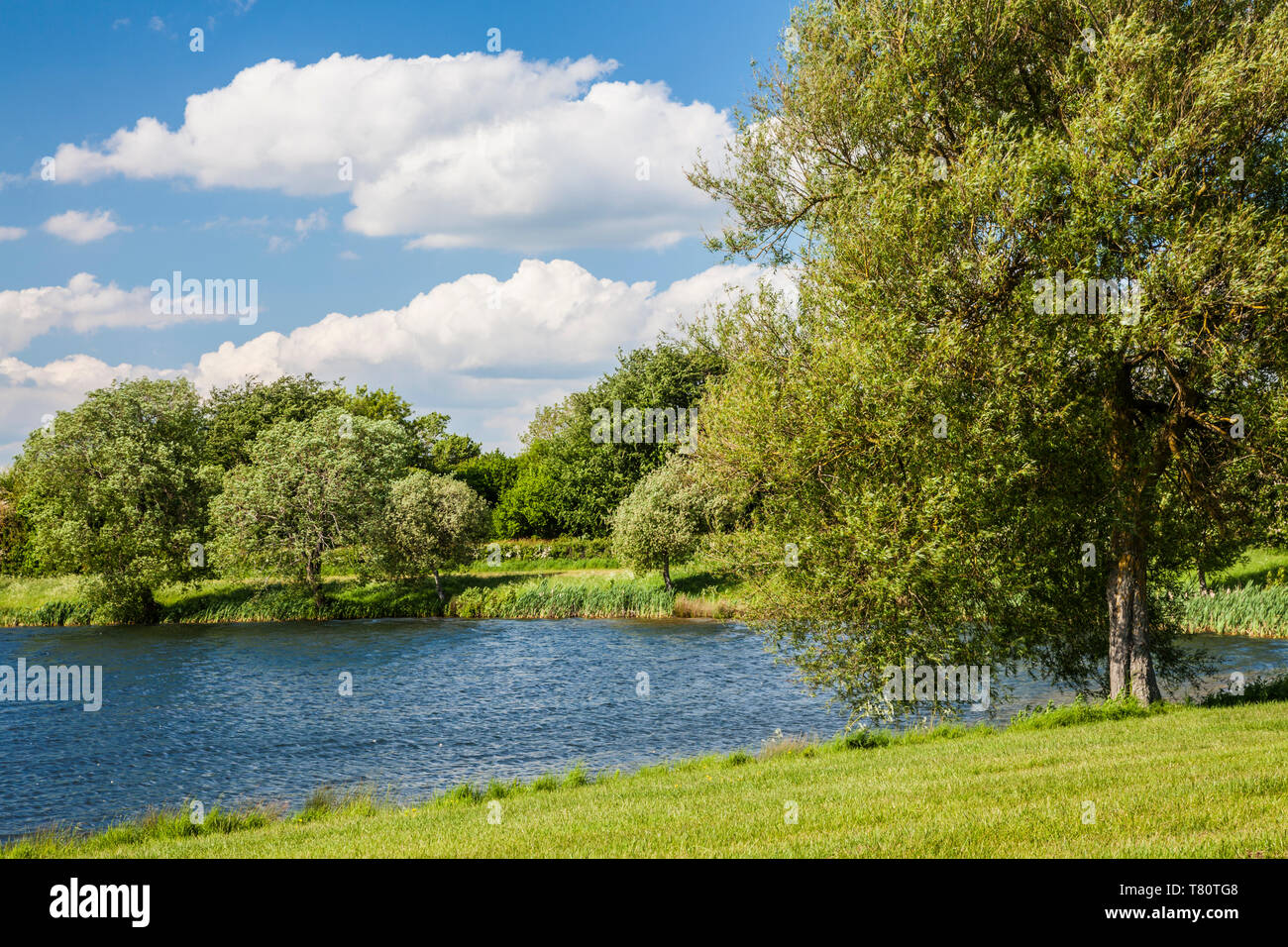 Uno dei laghi a Cotswold Water Park vicino a stoppino Cerney nel Gloucestershire. Foto Stock