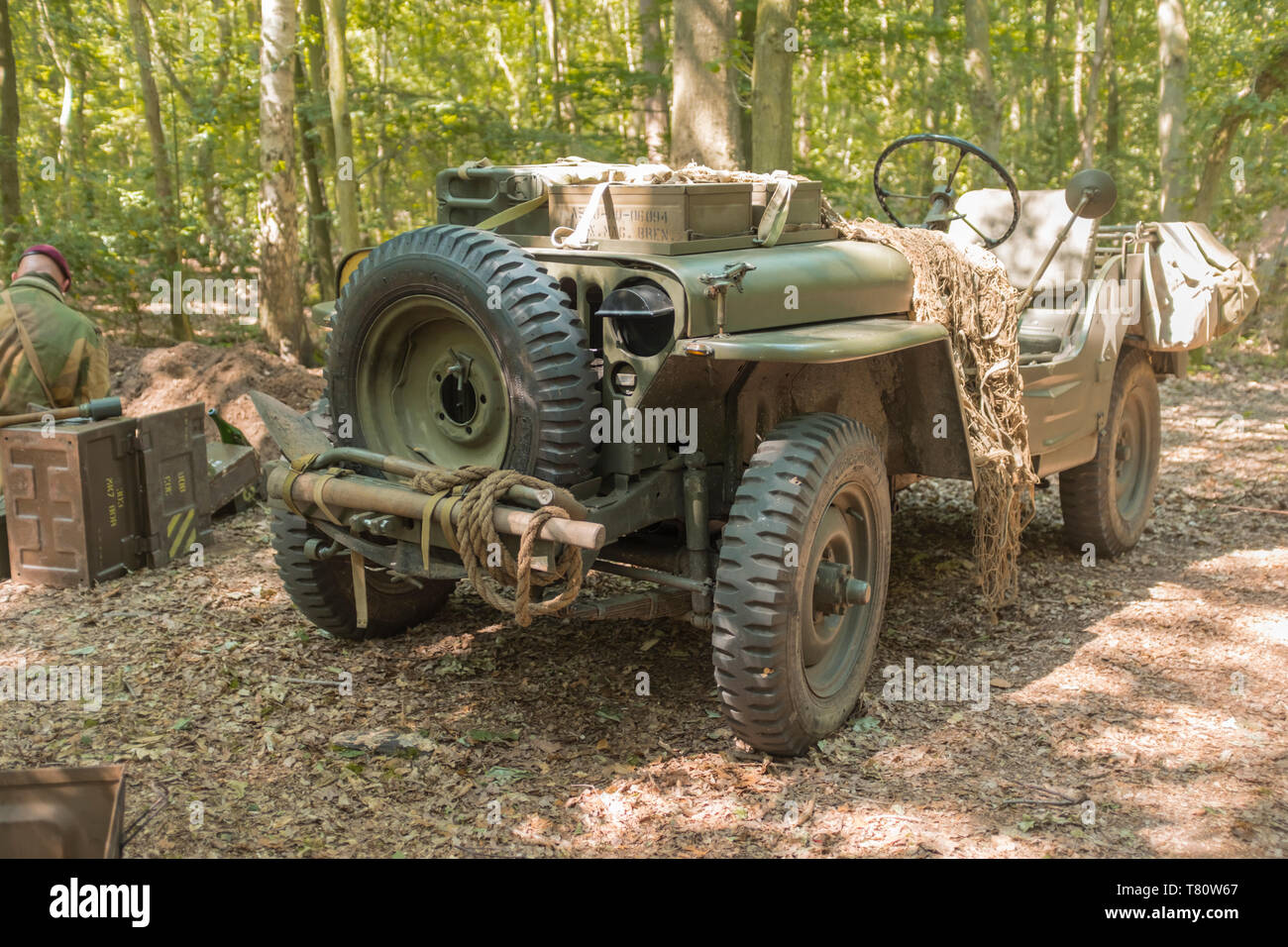 Woodhall Spa 1940s guerra mondiale due festival rievocazione weekend, Jeep Willys nella radura boschiva, con noi la marcatura Foto Stock