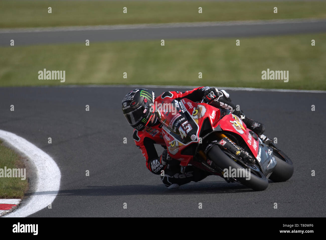 Ex Moto Gp Rider Scott Redding racing nel 2019 British Superbike a Oulton Park Foto Stock