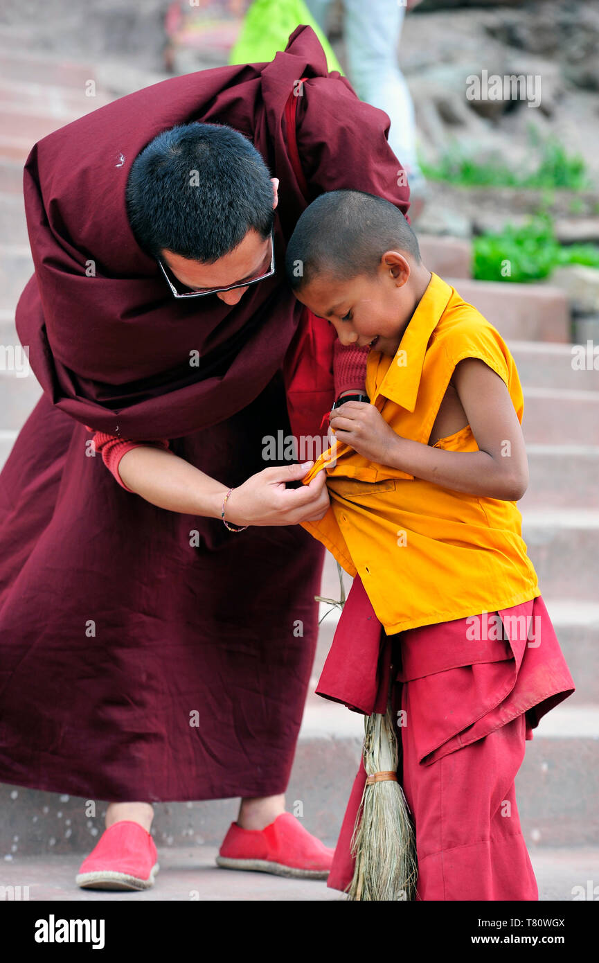 Medicazione di poco il monaco buddista, Leh, Ladakh, Jammu e Kashmir - India Foto Stock