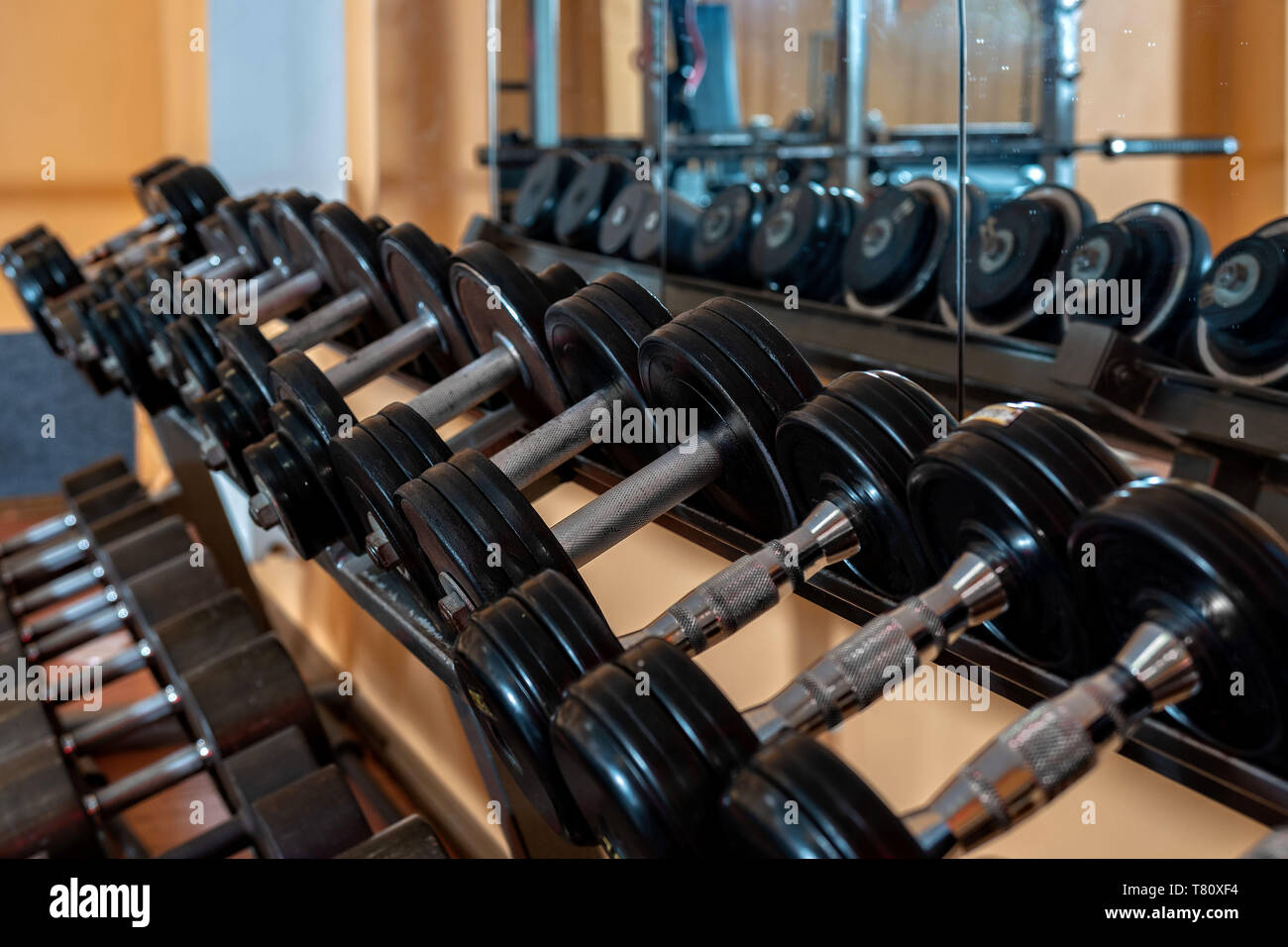 Righe di metallo manubri su rack in palestra / sport club. Peso attrezzatura di formazione. - Immagine Foto Stock