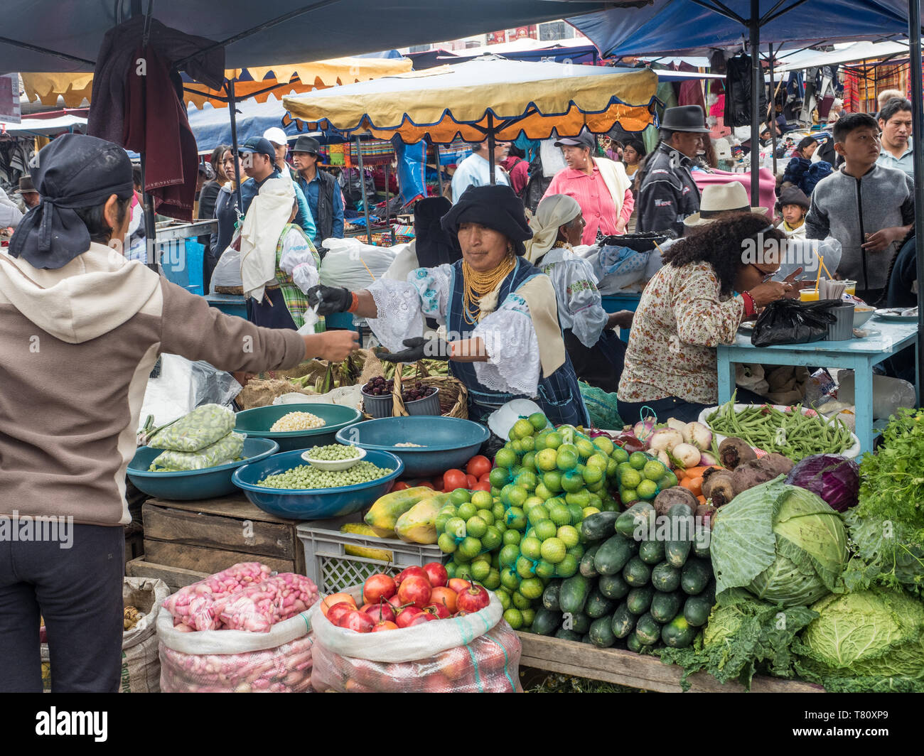 Produrre per la vendita, Mercato, Plaza de Los Ponchos, Quito, Ecuador, Sud America Foto Stock