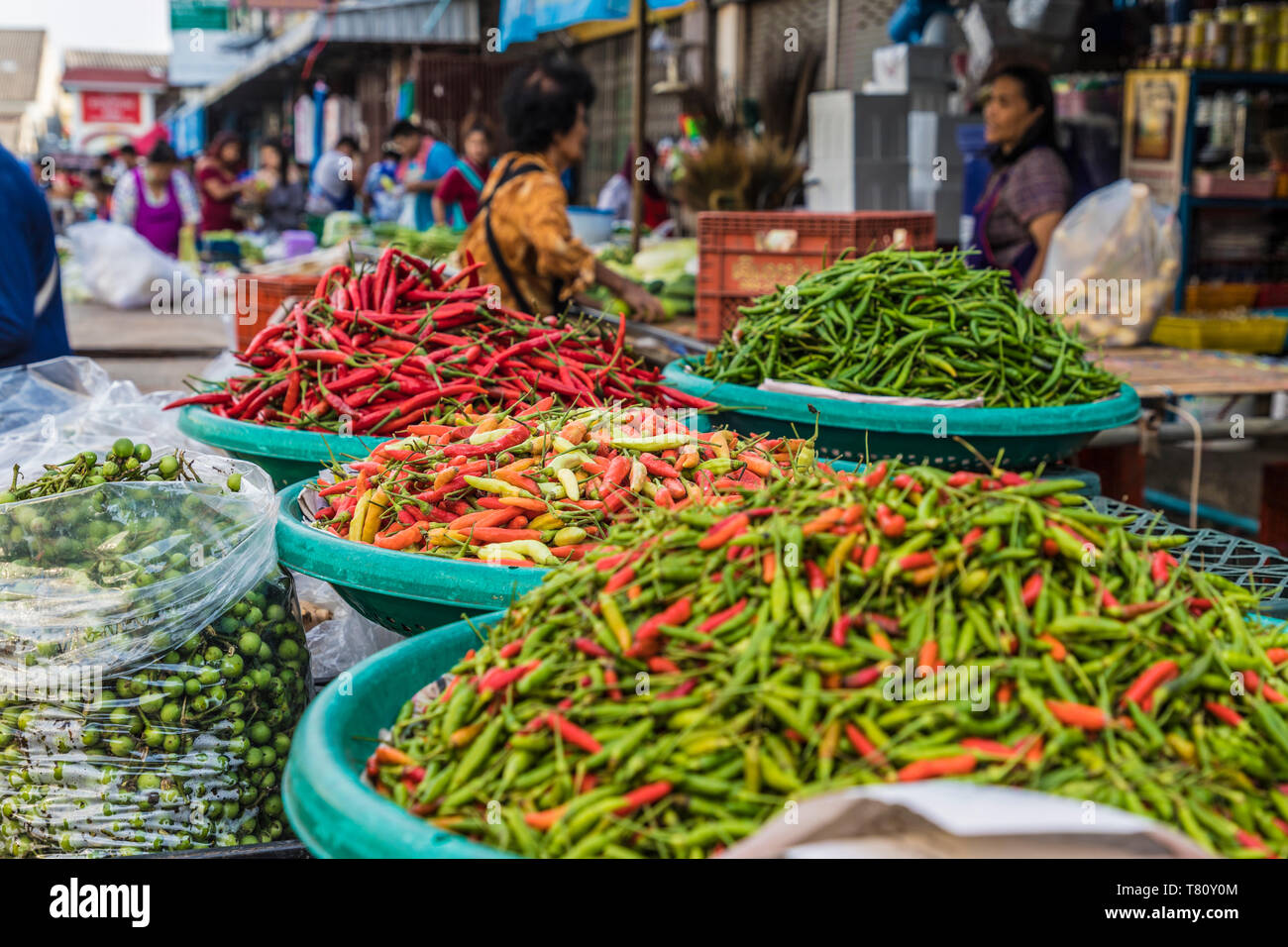 Una bancarella vendendo chilis alla 24 ora fresca locale mercato alimentare nella città di Phuket, Phuket, Thailandia, Sud-est asiatico, in Asia Foto Stock