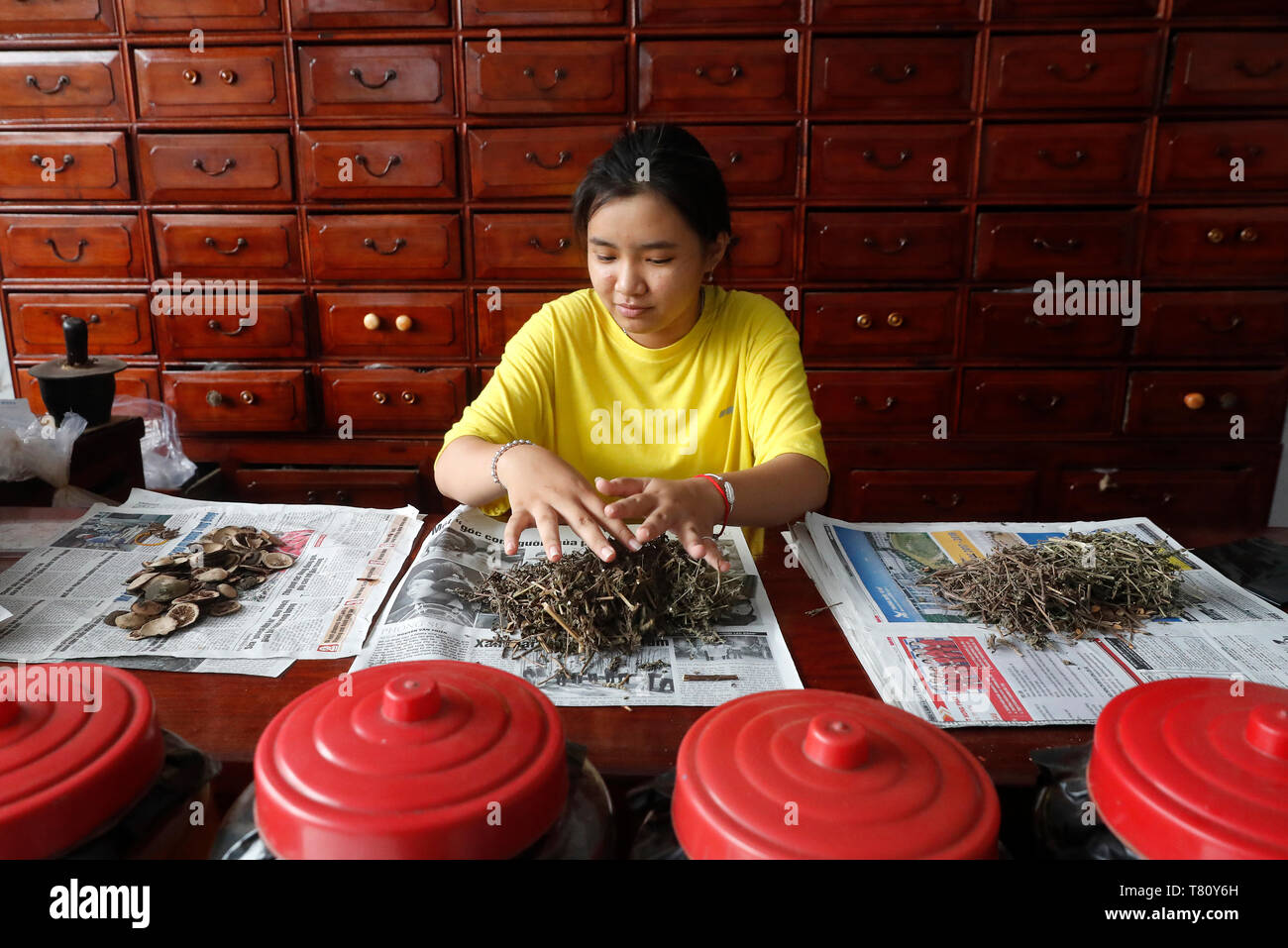 Donna che lavorano in un tradizionale cinese, farmacia Ha Tien, Vietnam, Indocina, Asia sud-orientale, Asia Foto Stock