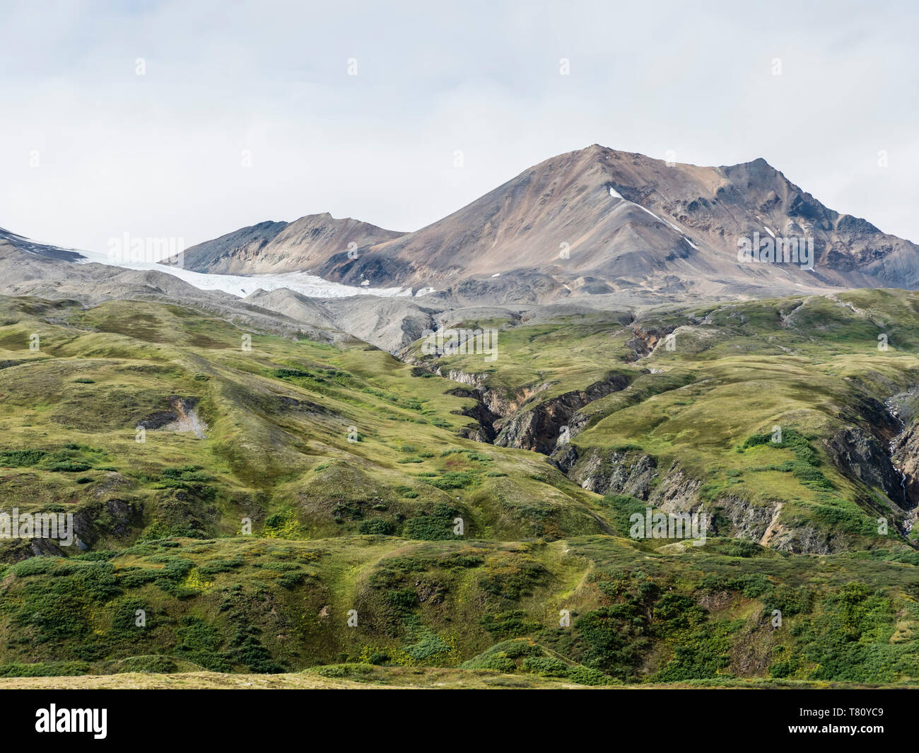 Vista dal mandrino Creek Trail nel Parco Tatshenshini-Alsek, Sito Patrimonio Mondiale dell'UNESCO, British Columbia, Canada, America del Nord Foto Stock