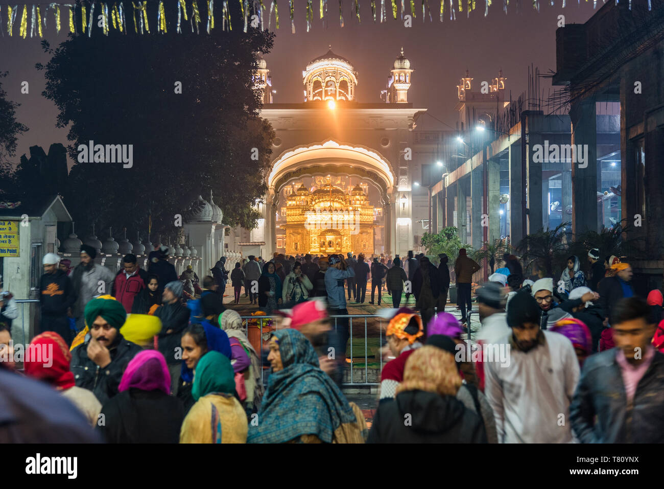 Il Tempio d'oro di notte, Amritsar Punjab, India, Asia Foto Stock