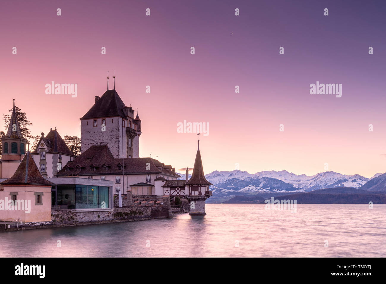 Sunrise presso il castello di Oberhofen am Thunersee con la coperta di neve Alpi Bernesi, cantone di Berna, Svizzera, Europa Foto Stock