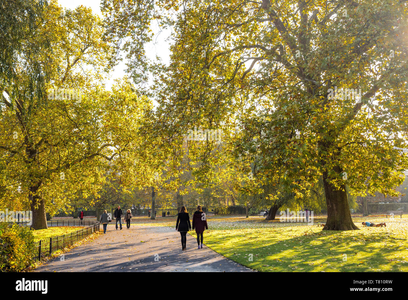 Autunno a Regents Park, uno dei parchi reali di Londra, Inghilterra, Regno Unito, Europa Foto Stock