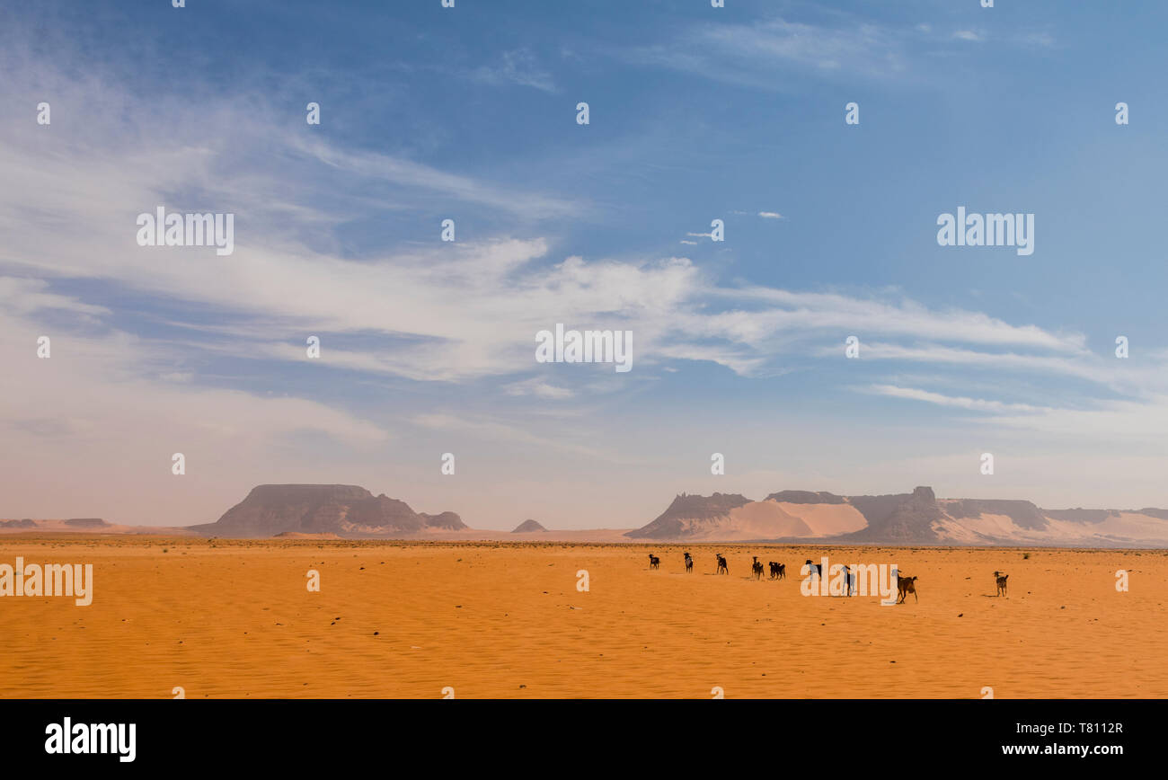 Scenario desertico nel nord del Ciad, Africa Foto Stock