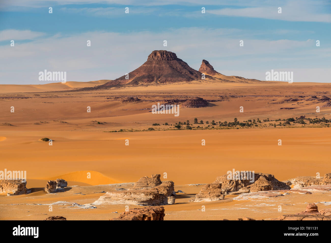 Splendido scenario desertico nel nord del Ciad, Africa Foto Stock