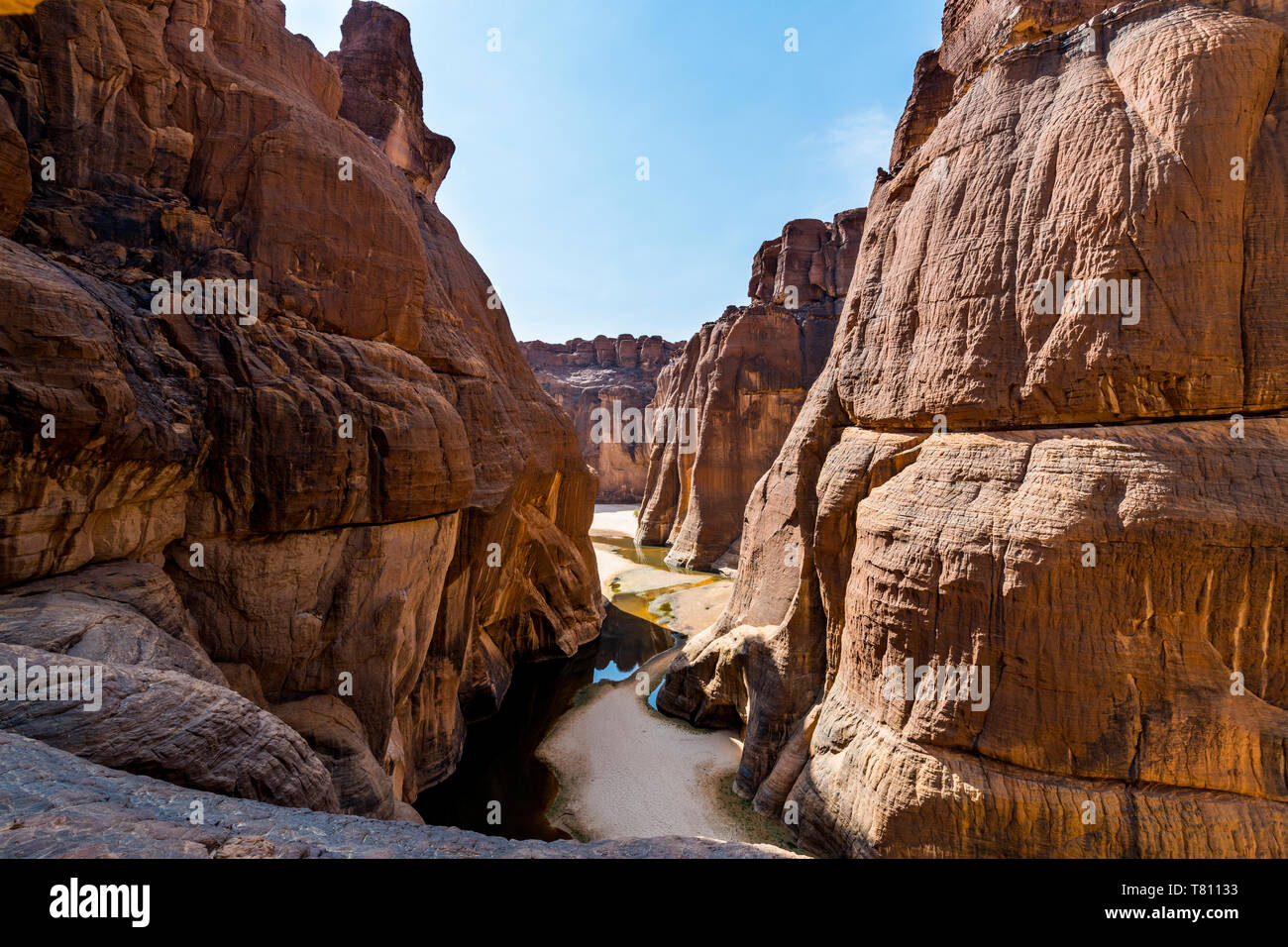 Guelta d'Archei waterhole, Ennedi altopiano, Sito Patrimonio Mondiale dell'UNESCO, la regione di Ennedi, Ciad, Africa Foto Stock