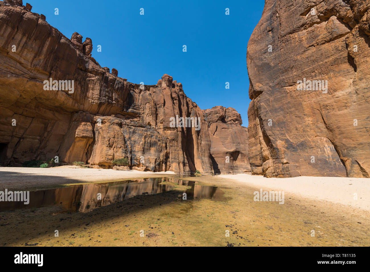 Guelta d'Archei waterhole, Ennedi altopiano, Sito Patrimonio Mondiale dell'UNESCO, la regione di Ennedi, Ciad, Africa Foto Stock