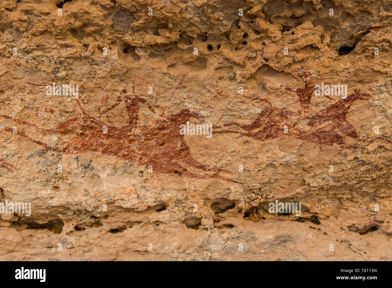 Le pitture rupestri, Ennedi altopiano, Sito Patrimonio Mondiale dell'UNESCO, la regione di Ennedi, Ciad, Africa Foto Stock