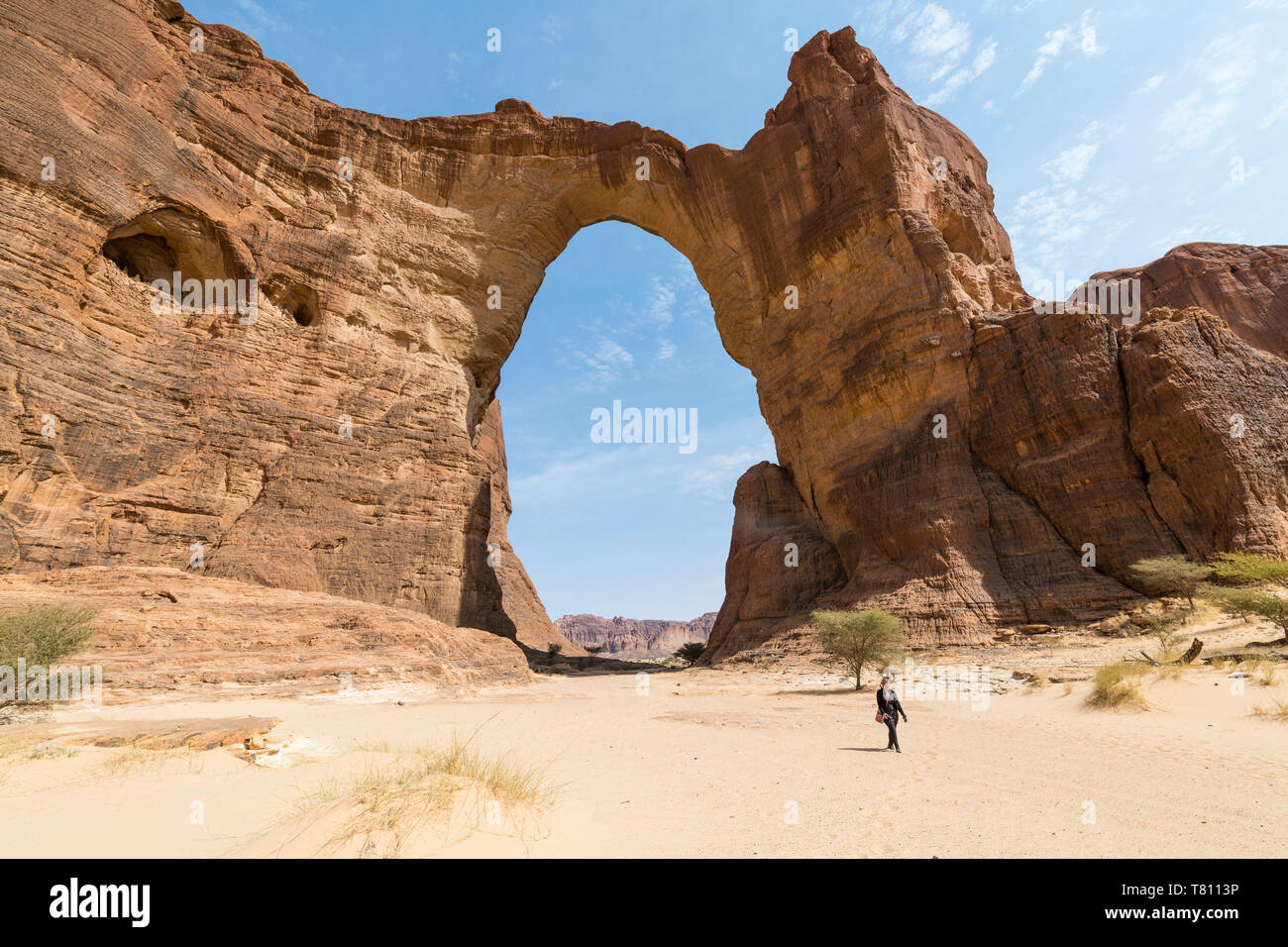 Il terzo più grande arco di roccia nel mondo, Ennedi altopiano, Sito Patrimonio Mondiale dell'UNESCO, la regione di Ennedi, Ciad, Africa Foto Stock