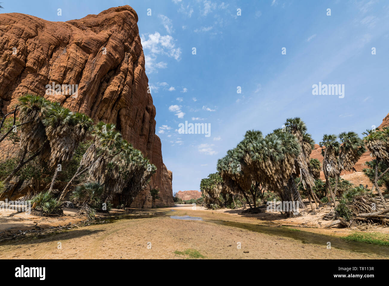 Waterhole, Ennedi altopiano, Sito Patrimonio Mondiale dell'UNESCO, la regione di Ennedi, Ciad, Africa Foto Stock