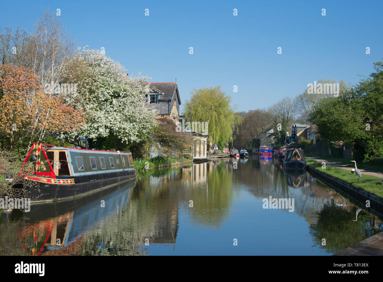 Grand Union Canal Berkhamsted Hertfordshire Inghilterra Foto Stock
