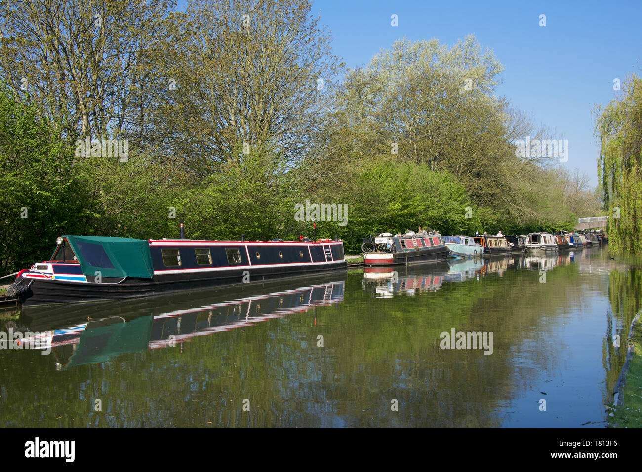 Ormeggiate barche del canale Grand Union Canal Berkhamsted Hertfordshire Inghilterra Foto Stock