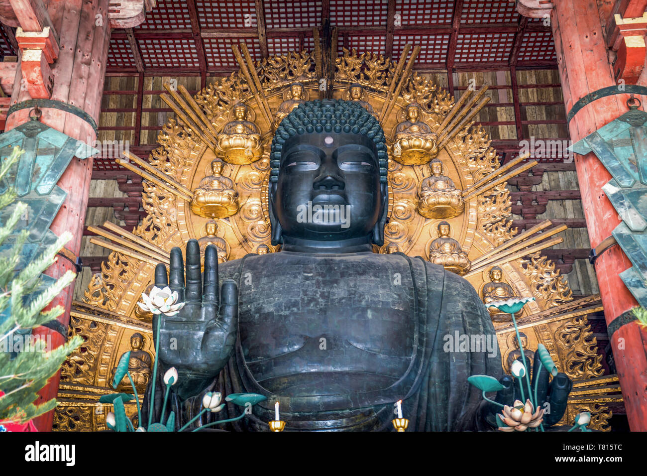 Bronzo grande statua di Buddha nel tempio Todaiji, Prefettura di Nara, Giappone Foto Stock