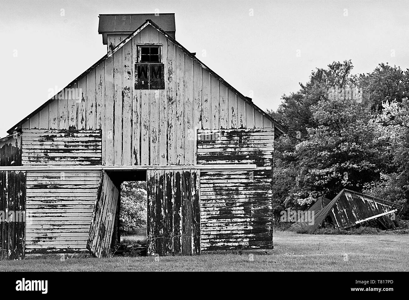 Immagine in bianco e nero di un abbandonato weathered fienile con pareti scrostate e rotto un fienile porta in un campo di un'azienda in rural Illinois. Foto Stock