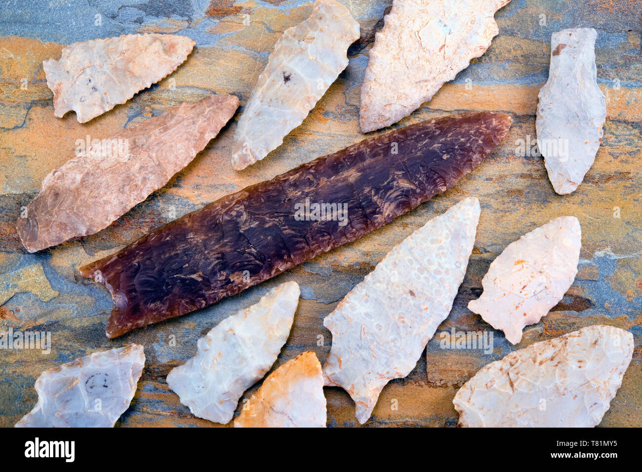 Real American Indian frecce realizzato intorno a 6-9 thiusands anni fa, essi sono stati trovati nel Texas orientale. Foto Stock