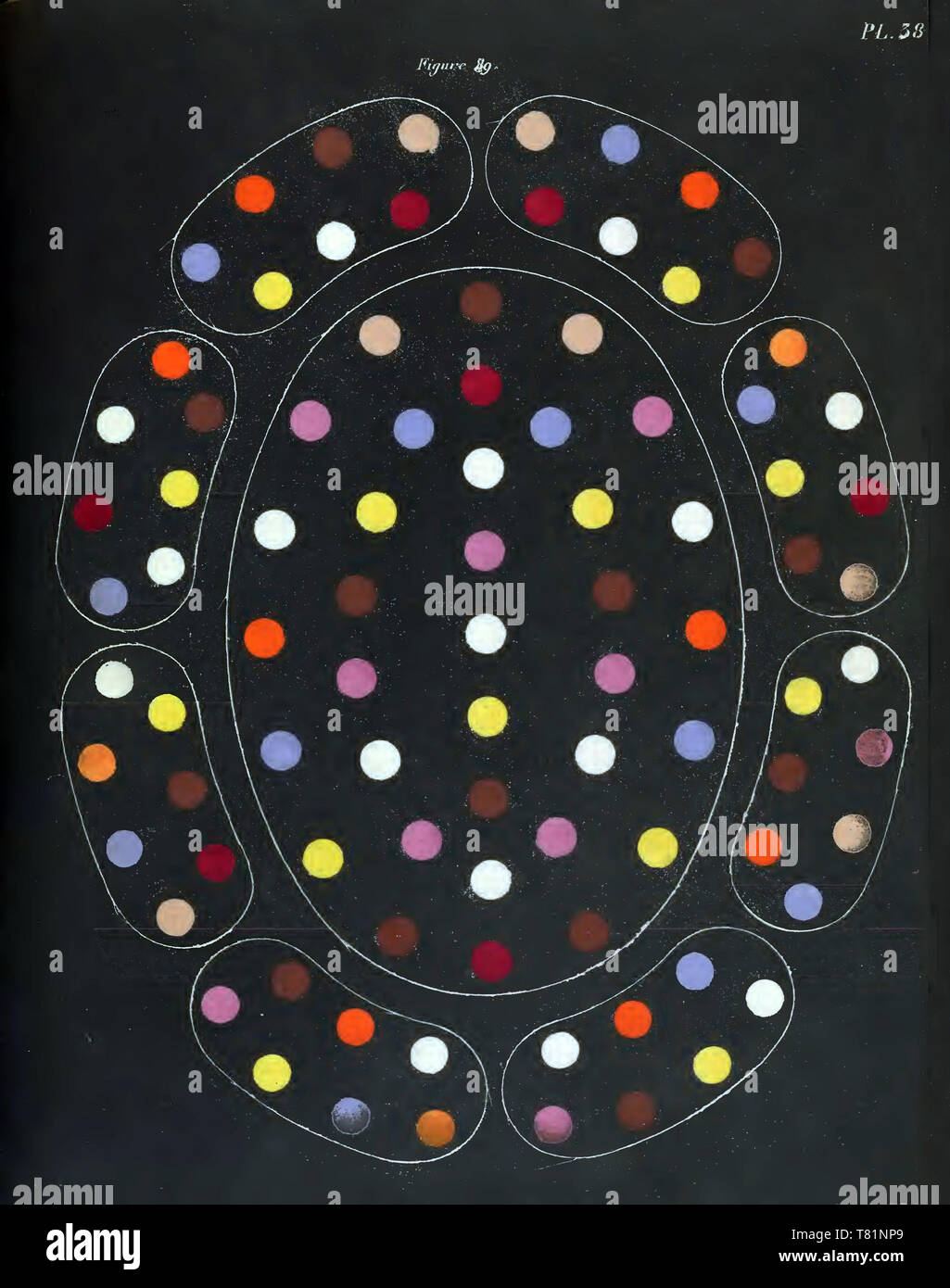 Michel Chevreul, contrasto di colore Schema, 1839 Foto Stock