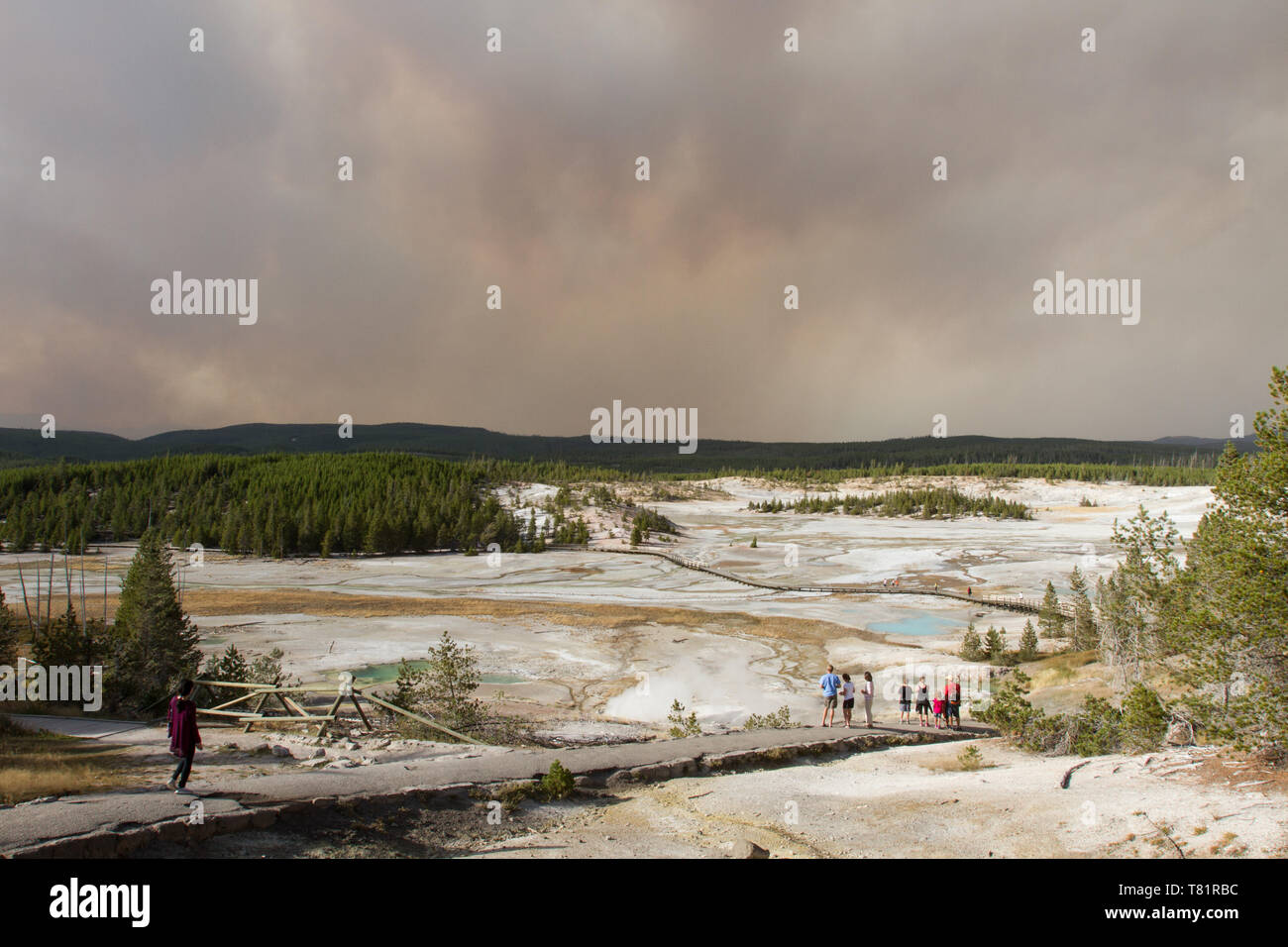 Smoky giorno a Yellowstone Foto Stock