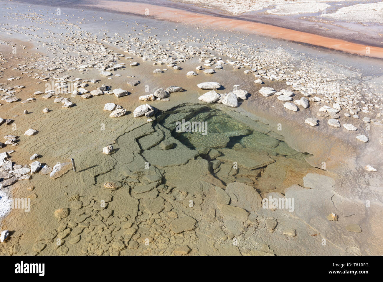 Geyser Hill, Yellowstone Foto Stock