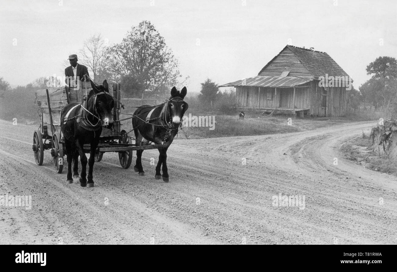 Carro di cotone nelle zone rurali del Mississippi Foto Stock