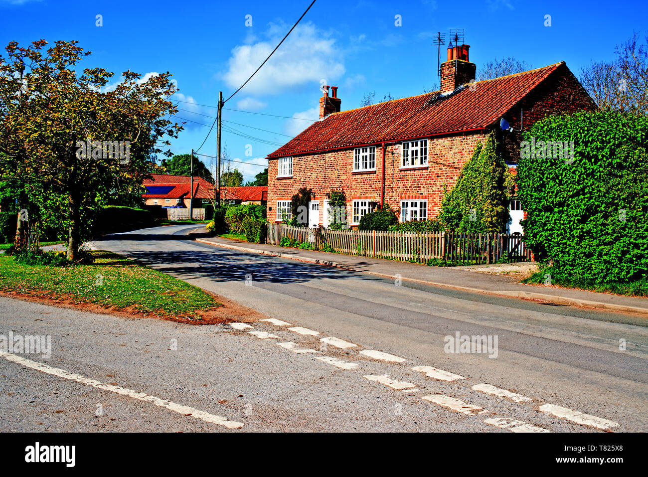 Cottage, Linton On Ouse, North Yorkshire, Inghilterra Foto Stock