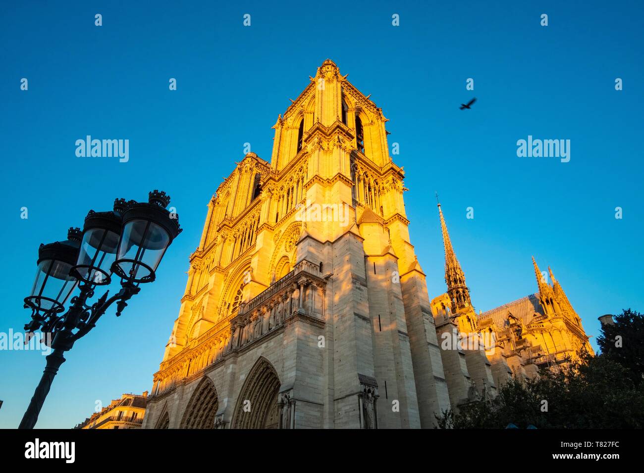 Francia, Parigi, la cattedrale di Notre Dame de Paris Foto Stock