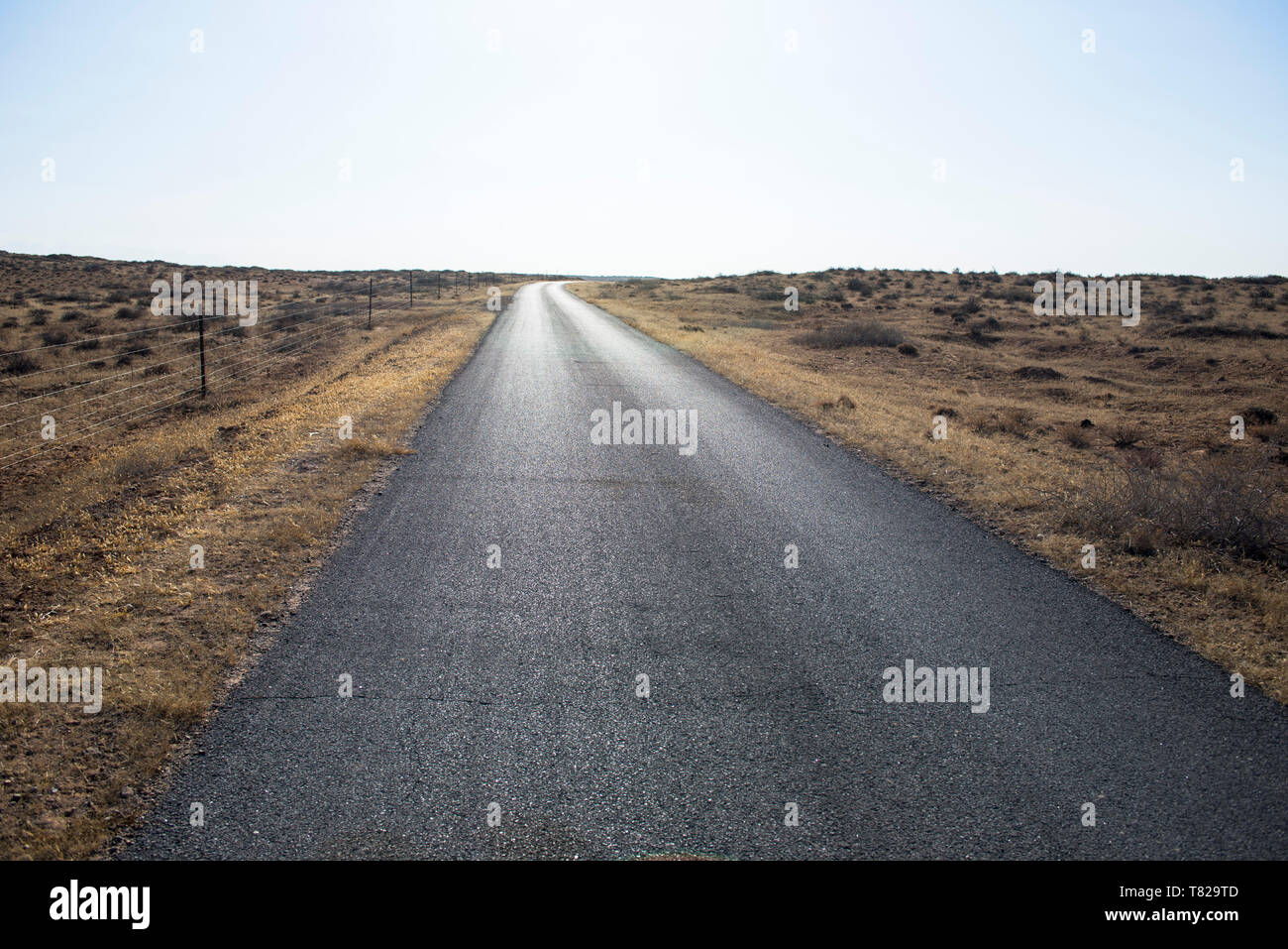 Chiudere la strada asfaltata nel paese pascolo. Foto Stock