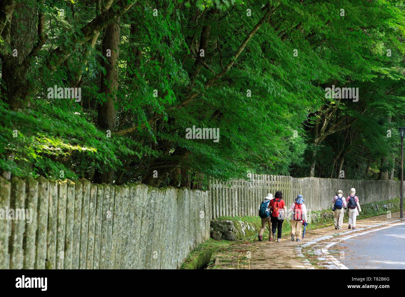 Giappone, isola di Honshu, la regione di Kansai, prefettura di Wakayama, Distretto di Ito, Koyasan Foto Stock