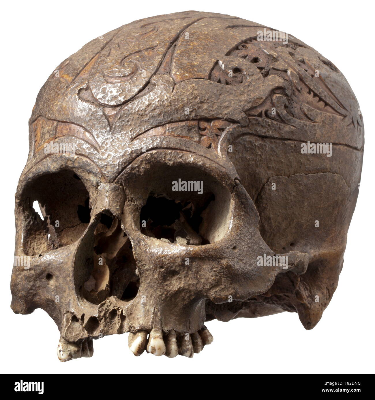 Un trofeo di cranio del popolo dayak, Borneo riccamente decorate cranio intero zucchetto profusamente scolpiti con rilievi ornamentali. Il cranio con il marrone scuro, parzialmente patina ruvida. Denti nella mascella superiore parzialmente conservato. Occhio alle prese e ossa temporali con distinte tracce di età. Altezza 15 cm. I DAYAK persone sono la popolazione indigena dell'isola del Borneo e comprendono diverse centinaia di gruppi etnici, alcuni dei quali variano considerevolmente in lingua, cultura e stile di vita. Il headhunting tradizione era praticata fino al XIX secolo quando, Additional-Rights-Clearance-Info-Not-Available Foto Stock