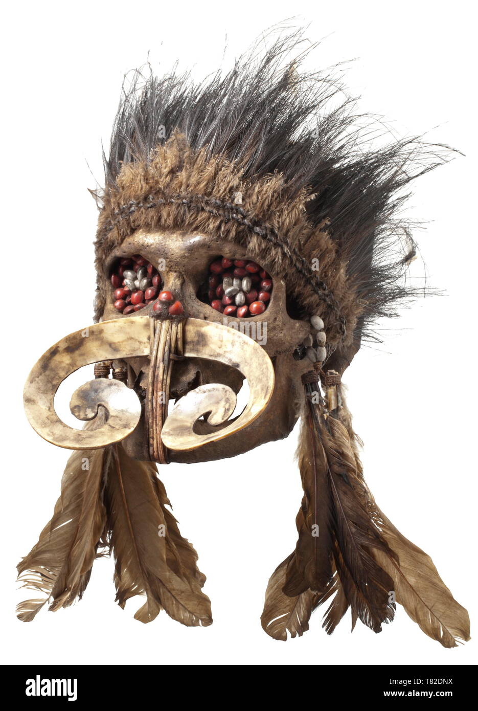 Un antenato del cranio del popolo Asmat, Papua Nuova Guinea scuro patinato cranio di un uomo vecchio, la ganascia tenuto in posizione da tessuti rattan bande attraverso il naso di apertura e dalla corda di incarti nel giunto. L'occhio prese e osso nasale riempita con una massa scura contenente semi colorati. Naso espansiva decorazione realizzata da un guscio di lumaca. Riccamente intrecciata di acconciatura di vari le penne degli uccelli. Tracce di età. Altezza 18 cm. I teschi di pregiati antenati, i cosiddetti 'ndambirkus', sono state oggetto di venerazione. Essi erano riccamente decorate e mantenuti in un saf, Additional-Rights-Clearance-Info-Not-Available Foto Stock Un antenato del cranio del popolo Asmat, Papua Nuova Guinea scuro patinato cranio di un uomo vecchio, la ganascia tenuto in posizione da tessuti rattan bande attraverso il naso di apertura e dalla corda di incarti nel giunto. L'occhio prese e osso nasale riempita con una massa scura contenente semi colorati. Naso espansiva decorazione realizzata da un guscio di lumaca. Riccamente intrecciata di acconciatura di vari le penne degli uccelli. Tracce di età. Altezza 18 cm. I teschi di pregiati antenati, i cosiddetti 'ndambirkus', sono state oggetto di venerazione. Essi erano riccamente decorate e mantenuti in un saf, Additional-Rights-Clearance-Info-Not-Available Foto Stock