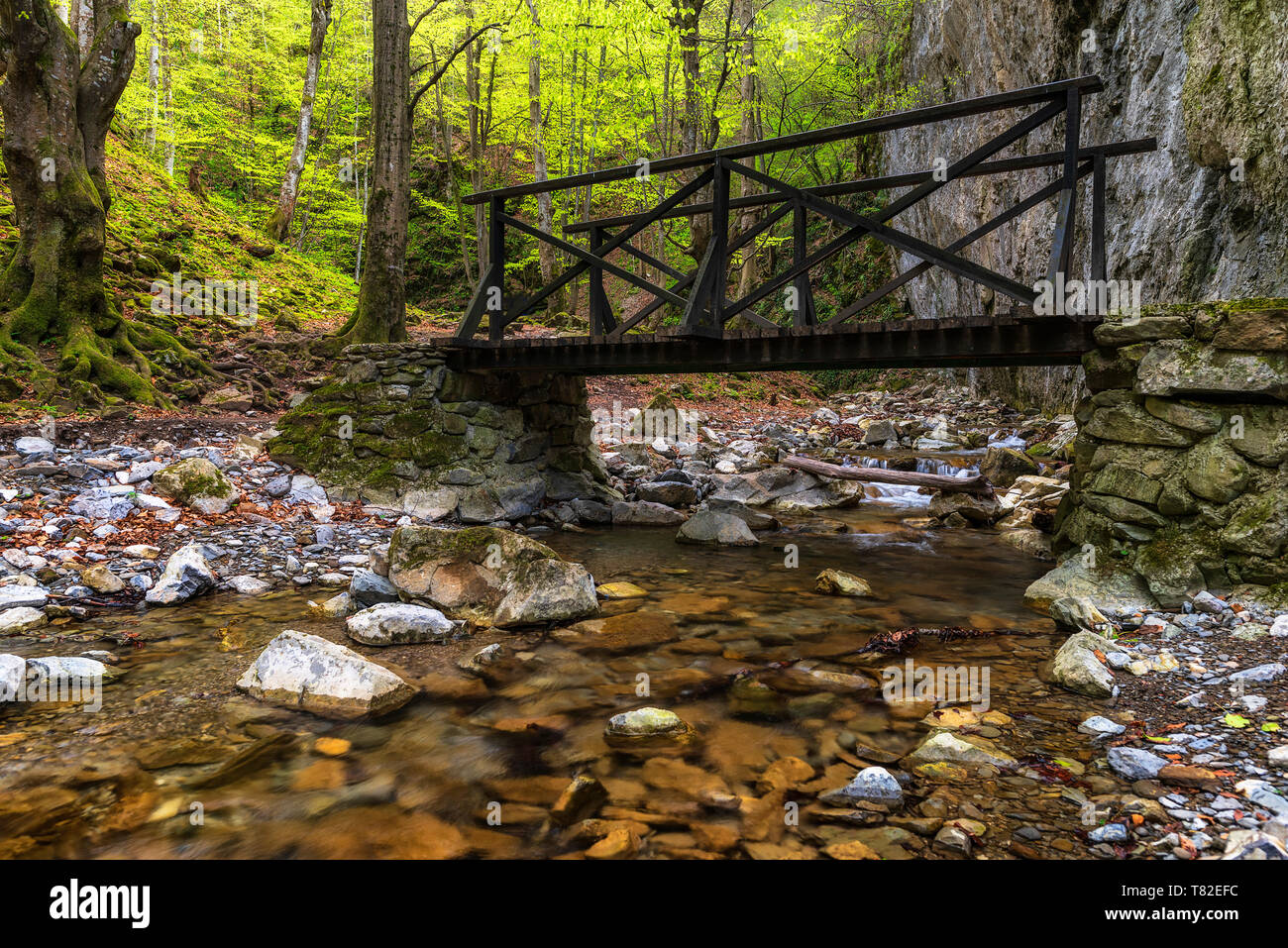 Fiume di montagna sotto il ponte di legno. Uno splendido scenario dalla Foresta di primavera Foto Stock