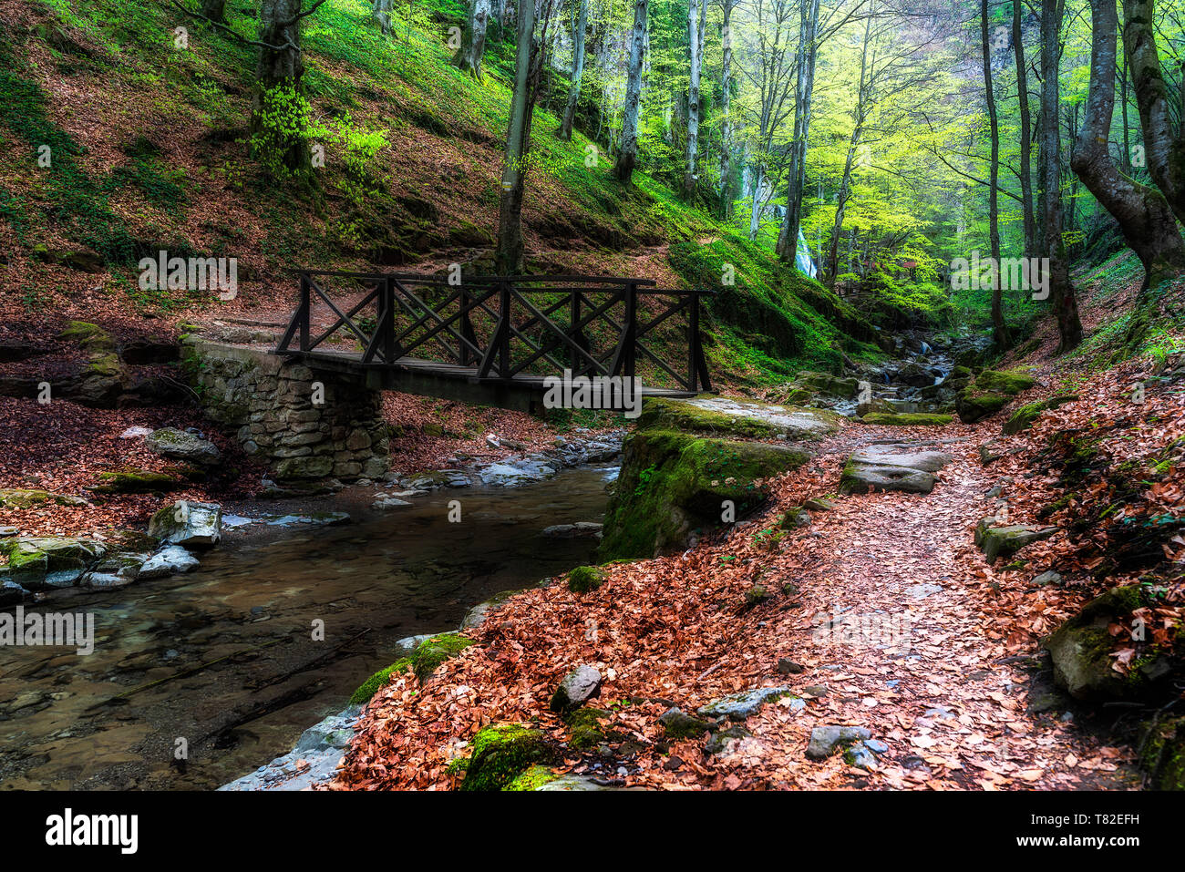 Fiume di montagna sotto il ponte di legno. Uno splendido scenario dalla Foresta di primavera Foto Stock